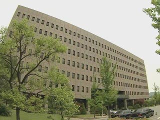 결혼 이민자 유흥업소 취업 금지된다