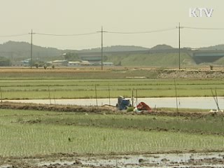 전국 공시지가, 평균 3.03% 상승