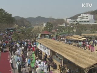 효문화뿌리축제, 2011 문화관광축제 선정