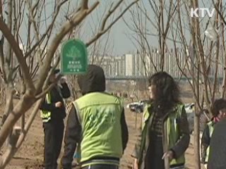 '4대강 희망의 숲' 첫 식목행사 개최