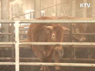 "한미FTA, 더 이상 미룰 수 없어"