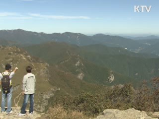 울산시, 내년 관광객 1천700만명 유치