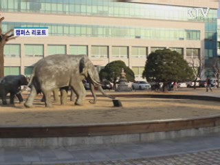 등록금 내린 만큼 수익사업 적극 유치