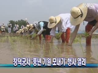 창덕궁서 '풍년 기원 모내기' 행사 열려