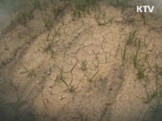 최악의 가뭄···지원 대책은? [와이드 인터뷰]