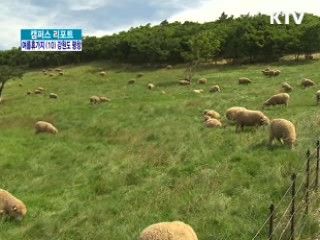 최고 휴양지 '평창' [캠퍼스 리포트]