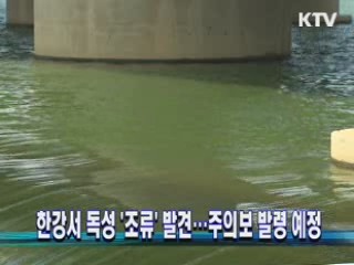한강서 독성 '조류' 발견...주의보 발령 예정
