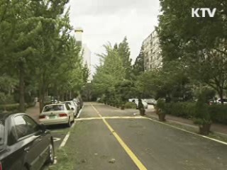 태풍보다 빠른 SNS "피해 줄였다"