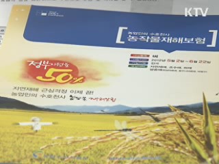 성수품 공급 확대, 재난지원금 선지급