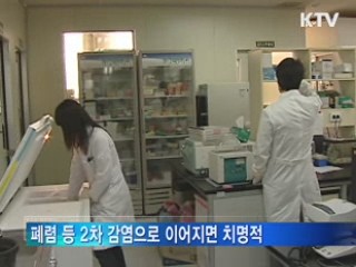 정책 플러스 (8회)