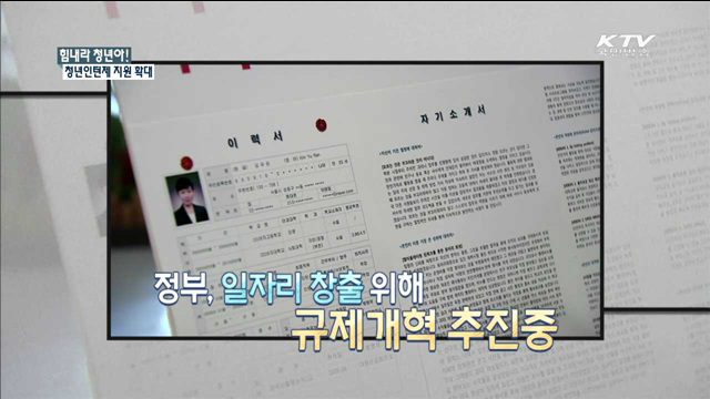 힘내라 청년아! 청년인턴제 지원확대 [규제개혁 현장]