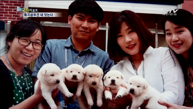 복지공무견 새끼의 '공무견 도전기'