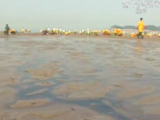 국제조사단장, `초동 대처 빨랐다`