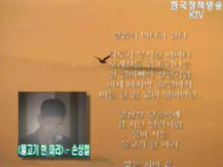 플러스 바다영상