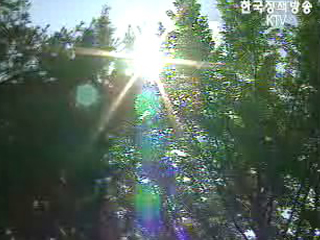 장마 뒤 `폭염` 비상