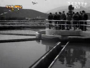 부산 상수도공사 준공(`70)