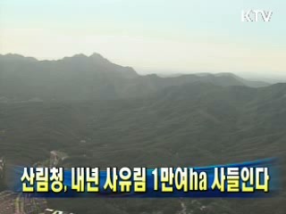 산림청, 내년 사유림 1만여ha 사들인다