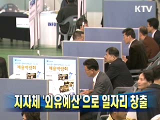 지자체 '외유예산' 으로 일자리 창출