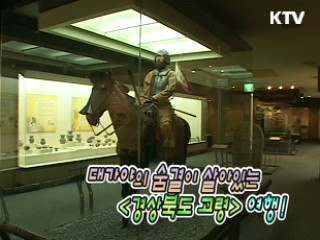 대가야의 숨결이 살아있는 <경상북도 고령> 여행!