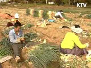 농식품부 사업, 절반으로 통폐합