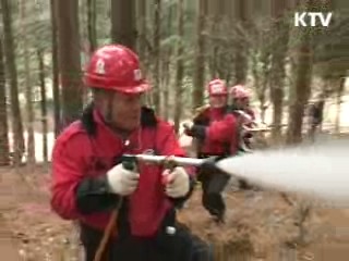 숲의 재탄생! 명품 숲을 만드는 사람들 [정책, 현장을 가다]