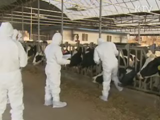 이 대통령 "구제역, 근본대책 세워야"