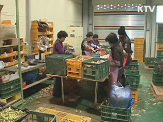 취약산업 경쟁력 강화로 개방 파고 넘는다