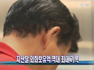 지난달 외화보유액 역대 최대 기록