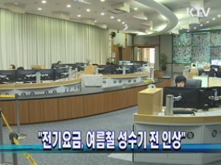 "전기요금, 여름철 성수기 전 인상"