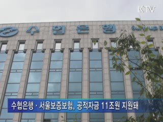수협은행·서울보증보험, 공적자금으로 '수당잔치'