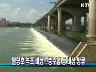 팔당호 녹조 비상···충주댐 등 비상 방류