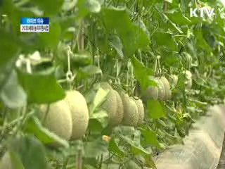 2030세대 농지 지원사업 [라이브 이슈]