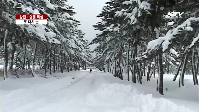 강원·영동 폭설 또 다시 눈