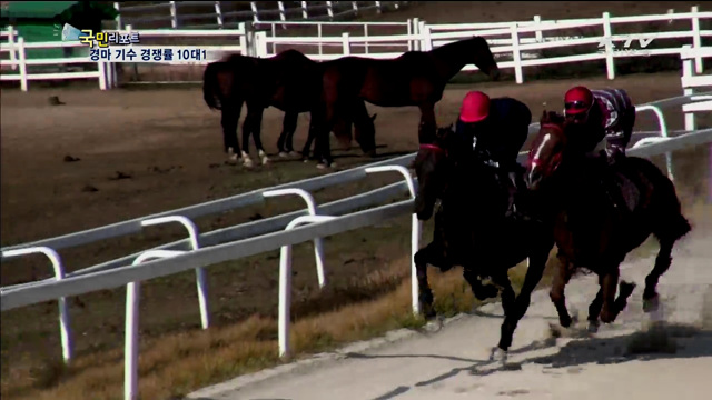 경마 기수 후보생 경쟁률 10대1