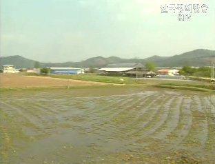 생활정책 Q&A - 농지은행, 농지경영회생제도란?