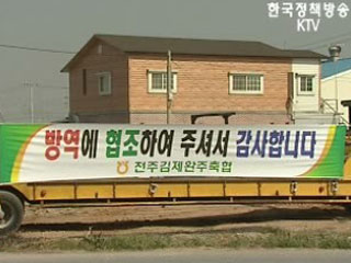 평택, AI 발생지 반경 3㎞로 살처분 확대