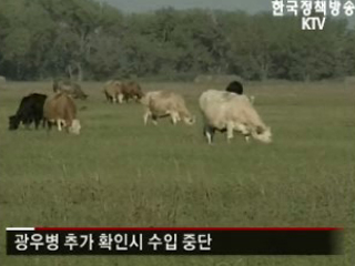 쇠고기 추가협상 쟁점