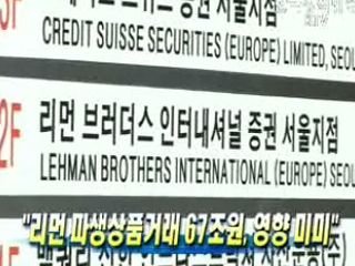 리먼 파생상품거래 67조원, 영향 미미