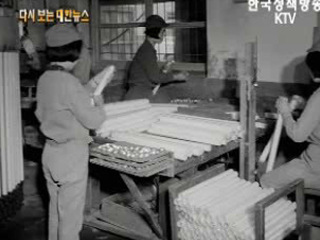 농가소득증대('67)
