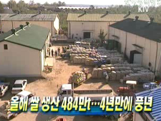 올해 쌀 생산 484만t···4년만에 풍년