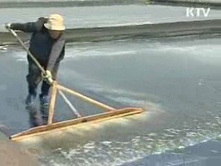 천일염, 고부가가치 세계명품 육성