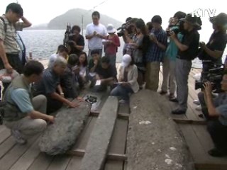 태안 마도, 수중유물 대거 발견