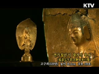 '연가칠년'이 새겨진 부처 [한국의 유물]