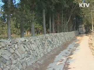 농산어촌 체험여행 100개 더 늘린다