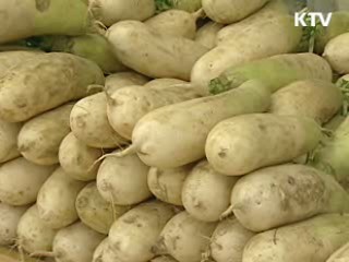 농수산물 수급 안정 1천억원 투입