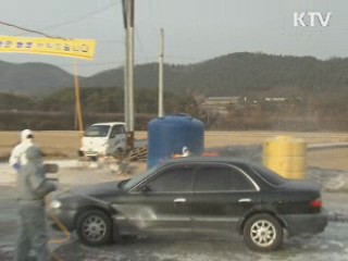 구제역 위기경보  최고단계 '심각' 격상