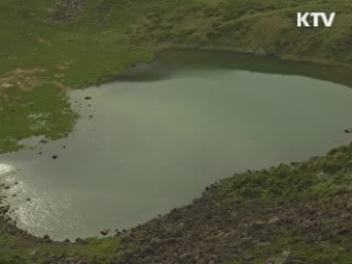 제주, 세계 7대 자연경관 선정 D-300일