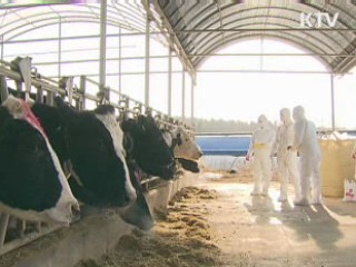 이 대통령 "구제역 백신 자체생산 검토" 