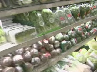 "물가 안정, 관계부처 정책수단 총동원"