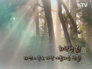 등산 [경제타임머신]